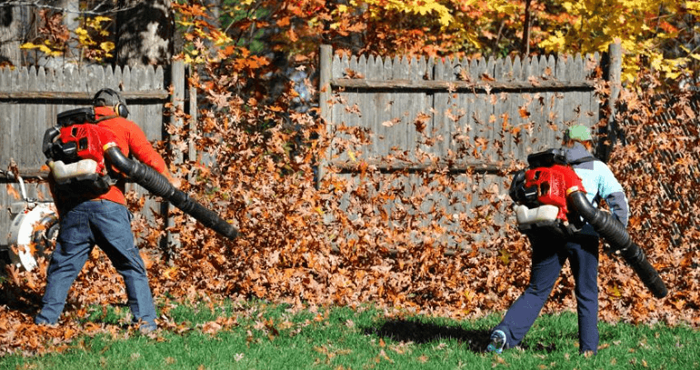 Two people using backpack leaf blowers to clear fallen autumn leaves against a wooden fence.